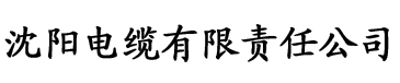 国产精品亚洲一区二区三区久久电缆厂logo